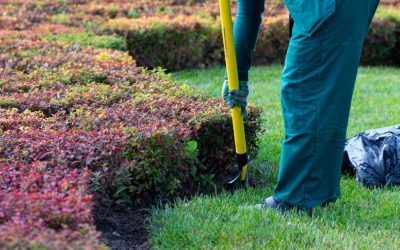 How to Increase Your Home’s Curb Appeal with Landscaping