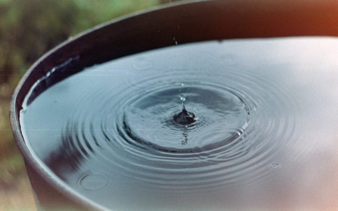 How To Properly Irrigate Your Garden